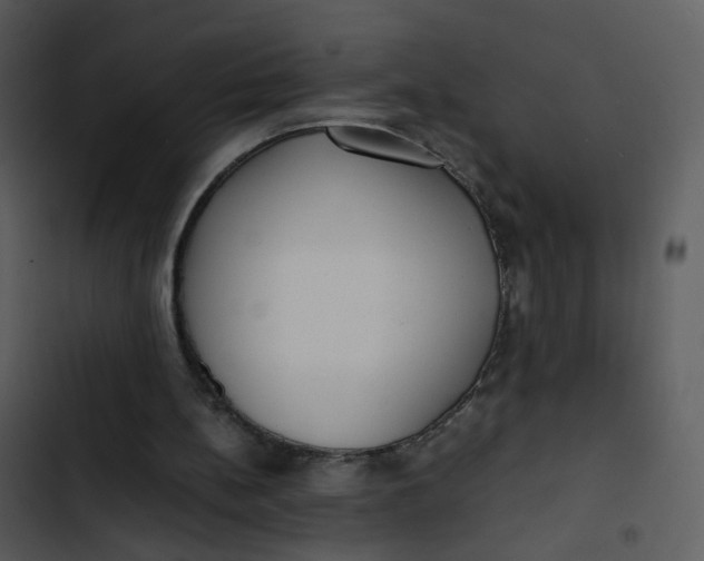 X0000102840148200809081228