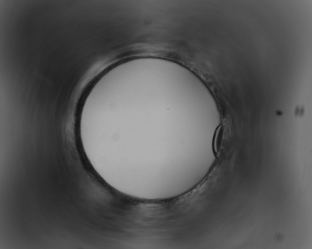 X0000102840150200809081228