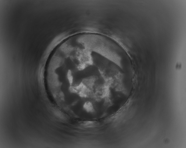 X0000102840151200809081228