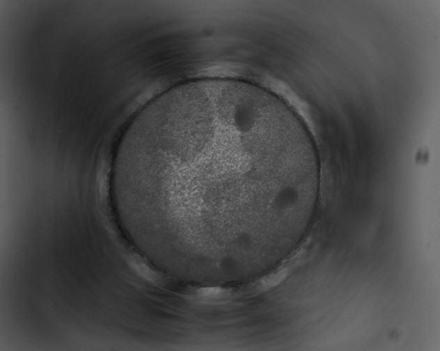 X0000102840153200809081228