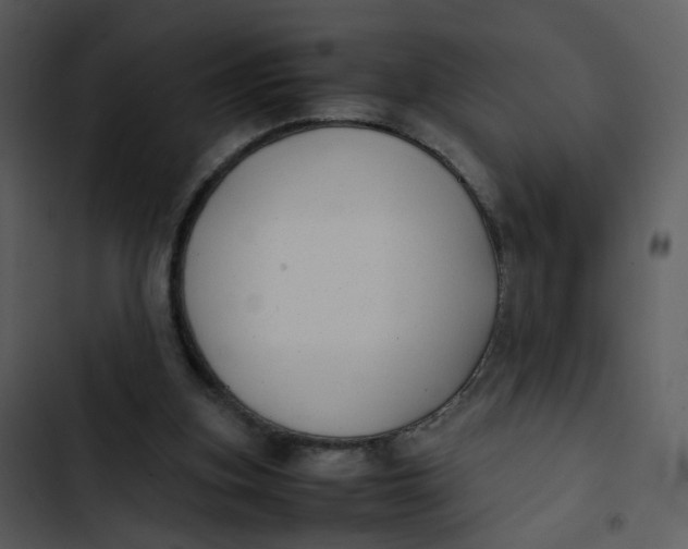 X0000102840155200809081228