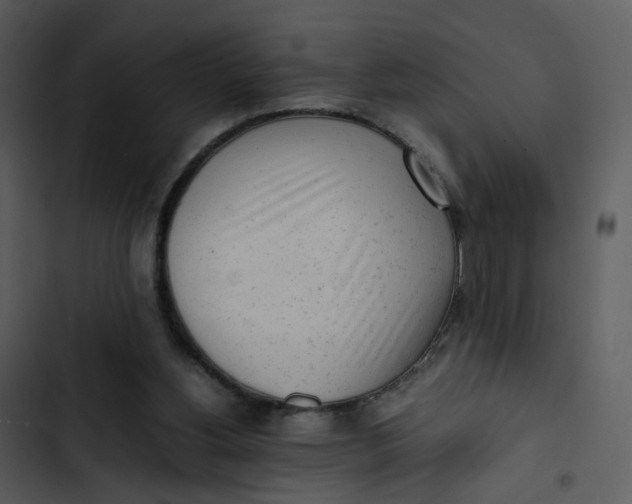 X0000102840156200809081228