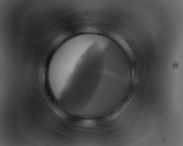 X0000102840157200809081228