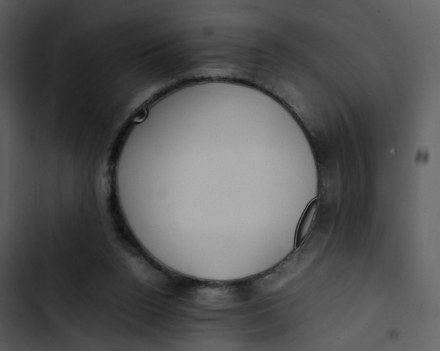 X0000102840160200809081228