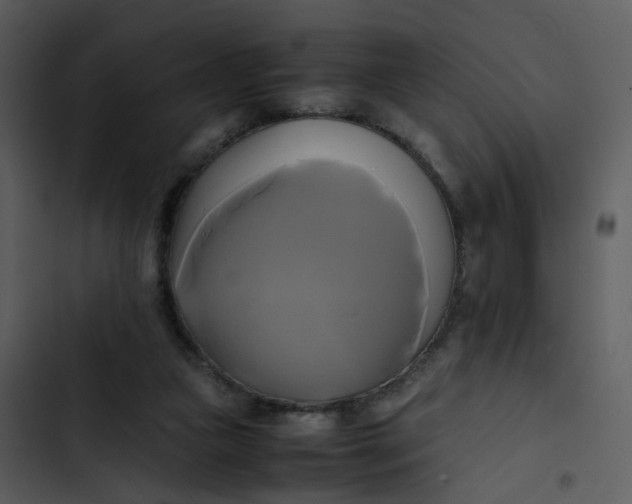 X0000102840161200809081228