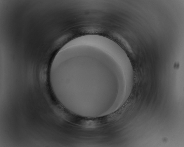 X0000102840163200809081228