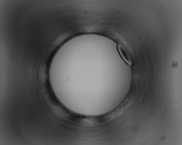 X0000102840164200809081228