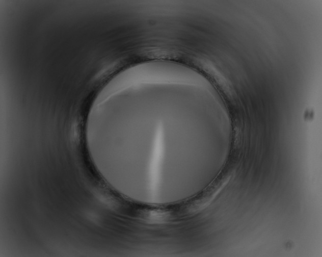 X0000102840165200809081228