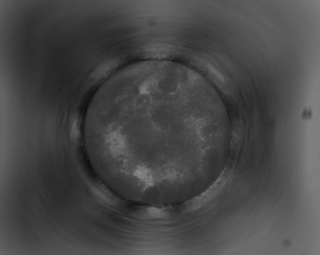 X0000102840166200809081228