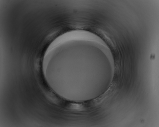 X0000102840167200809081228