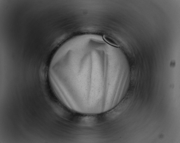 X0000102840168200809081228