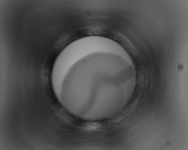 X0000102840169200809081228