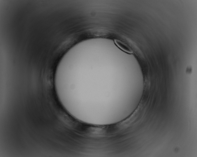 X0000102840170200809081228