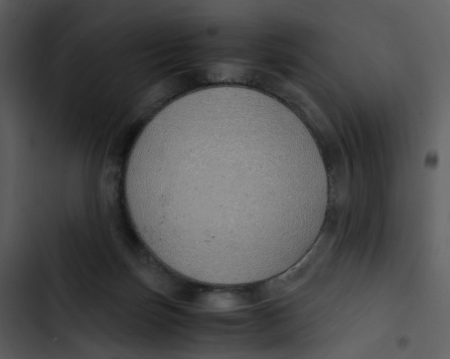 X0000102840171200809081228