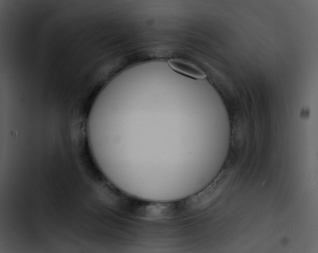 X0000102840172200809081228