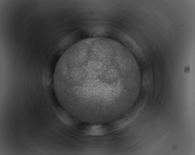 X0000102840173200809081228