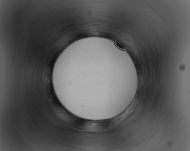 X0000102840174200809081228