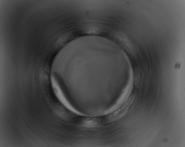 X0000102840175200809081228