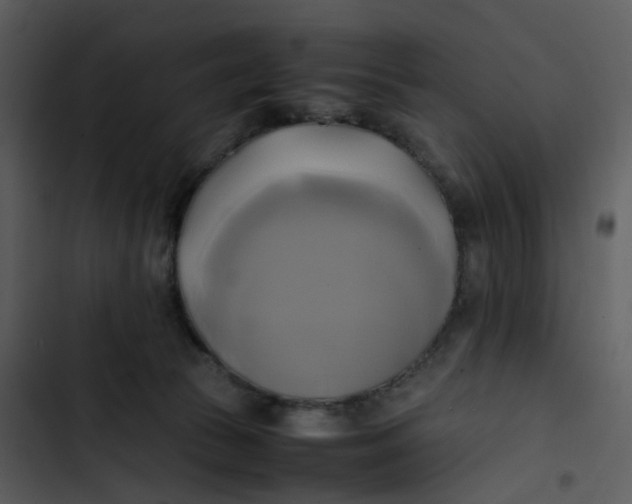 X0000102840177200809081228