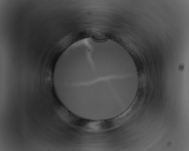 X0000102840178200809081228