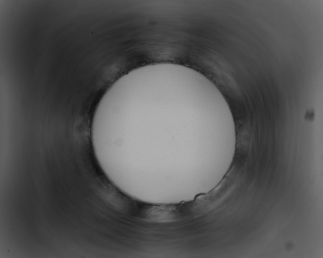 X0000102840179200809081228