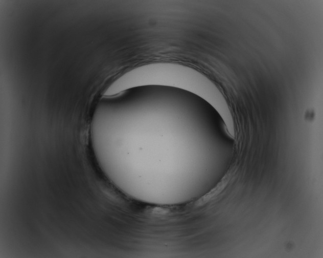 X0000102840180200809081228