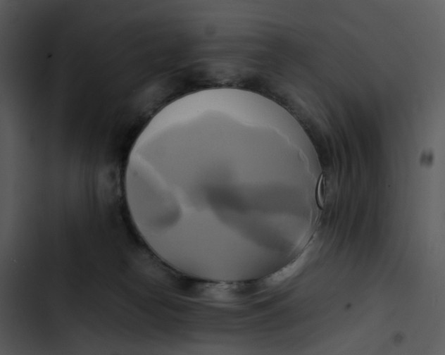 X0000102840182200809081228