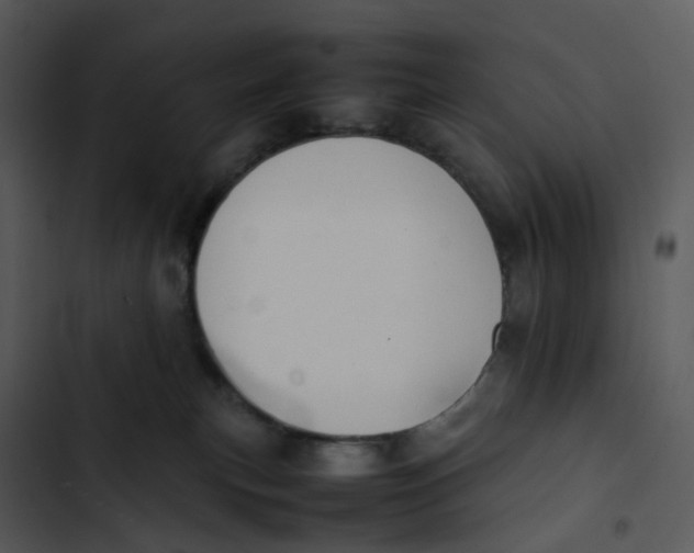 X0000102840183200809081228