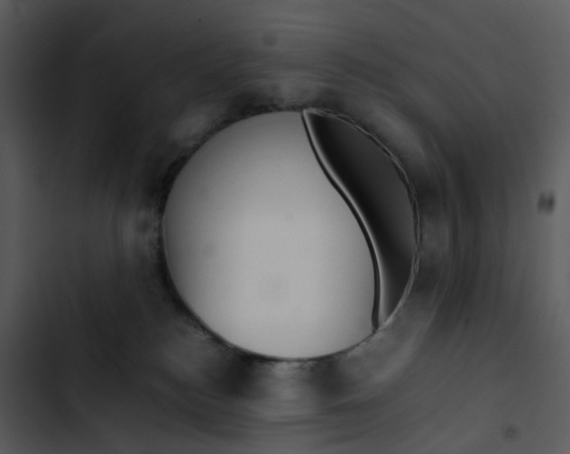 X0000102840184200809081228