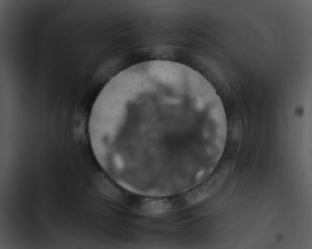 X0000102840185200809081228