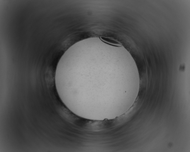 X0000102840186200809081228