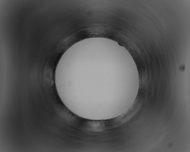 X0000102840187200809081228