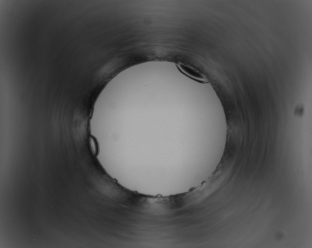 X0000102840188200809081228