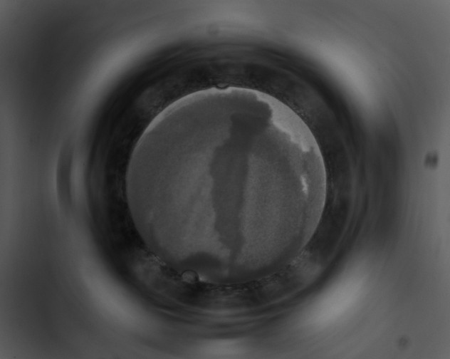 X0000102840189200809081229