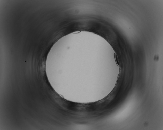 X0000102840190200809081229