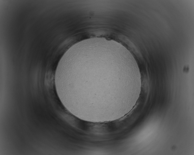 X0000102840191200809081229