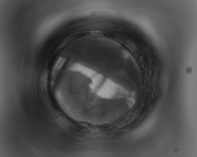 X0000102840194200809081228