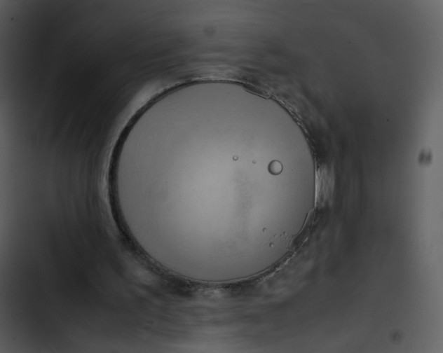 X0000102840195200809081228