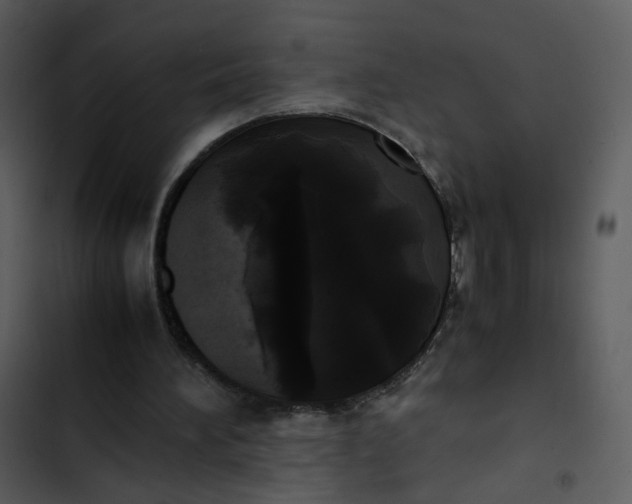 X0000102840196200809081228