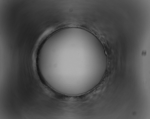 X0000102840197200809081228