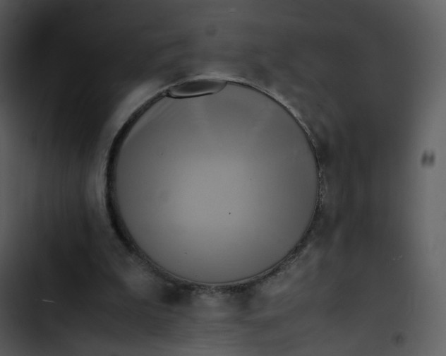 X0000102840199200809081228