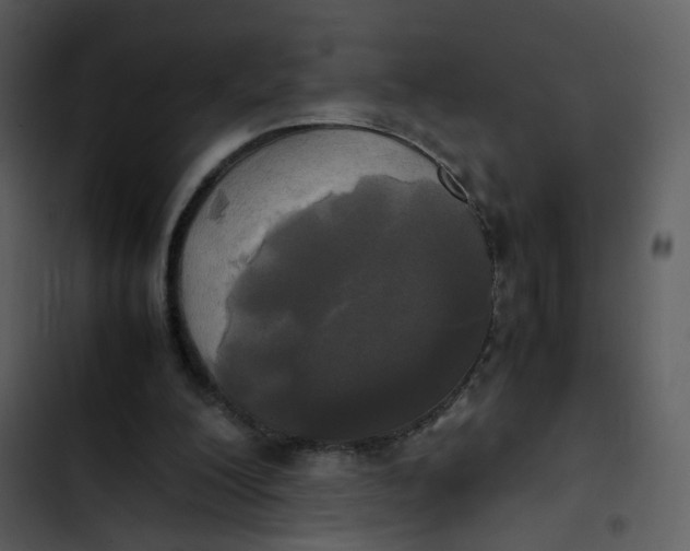 X0000102840200200809081228