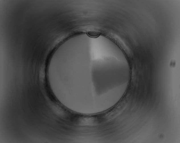 X0000102840202200809081228