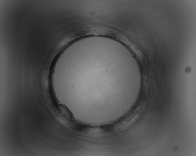 X0000102840203200809081228