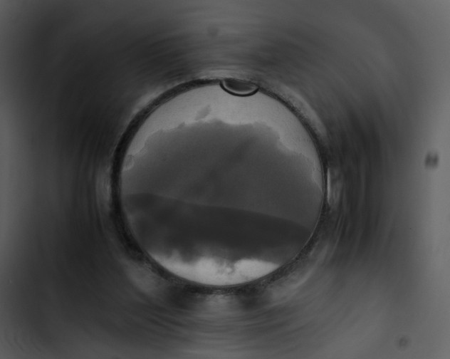 X0000102840204200809081228