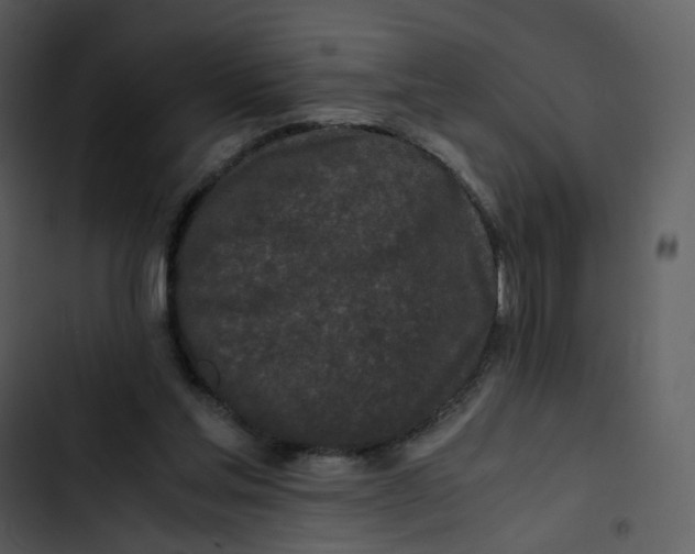 X0000102840205200809081228