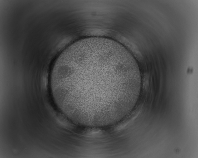 X0000102840206200809081228