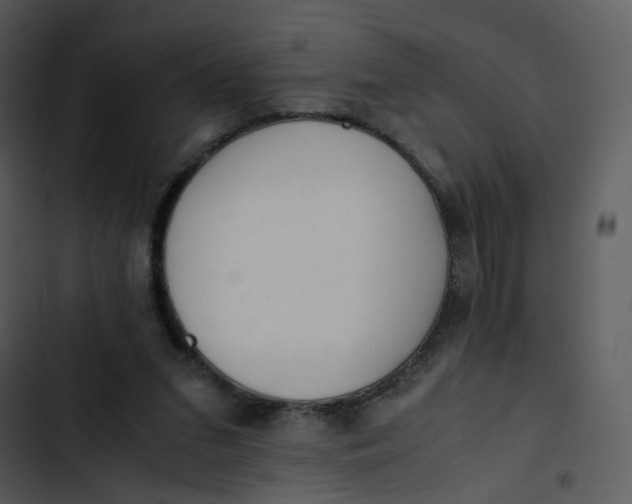 X0000102840207200809081228