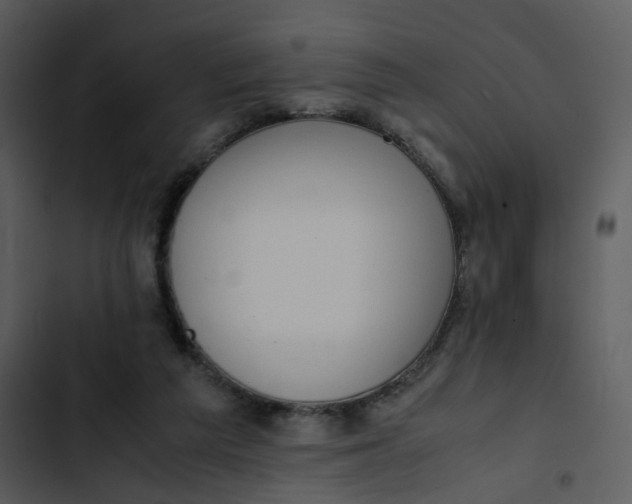 X0000102840209200809081228