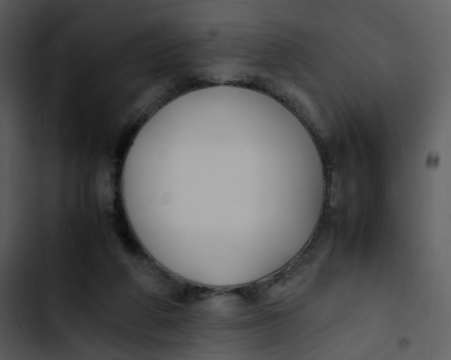 X0000102840210200809081227